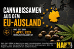 Cannabissamen aus dem EU-Ausland: was deutsche Selbstanbauer wissen müssen