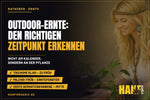 Outdoor-Ernte: den richtigen Zeitpunkt erkennen