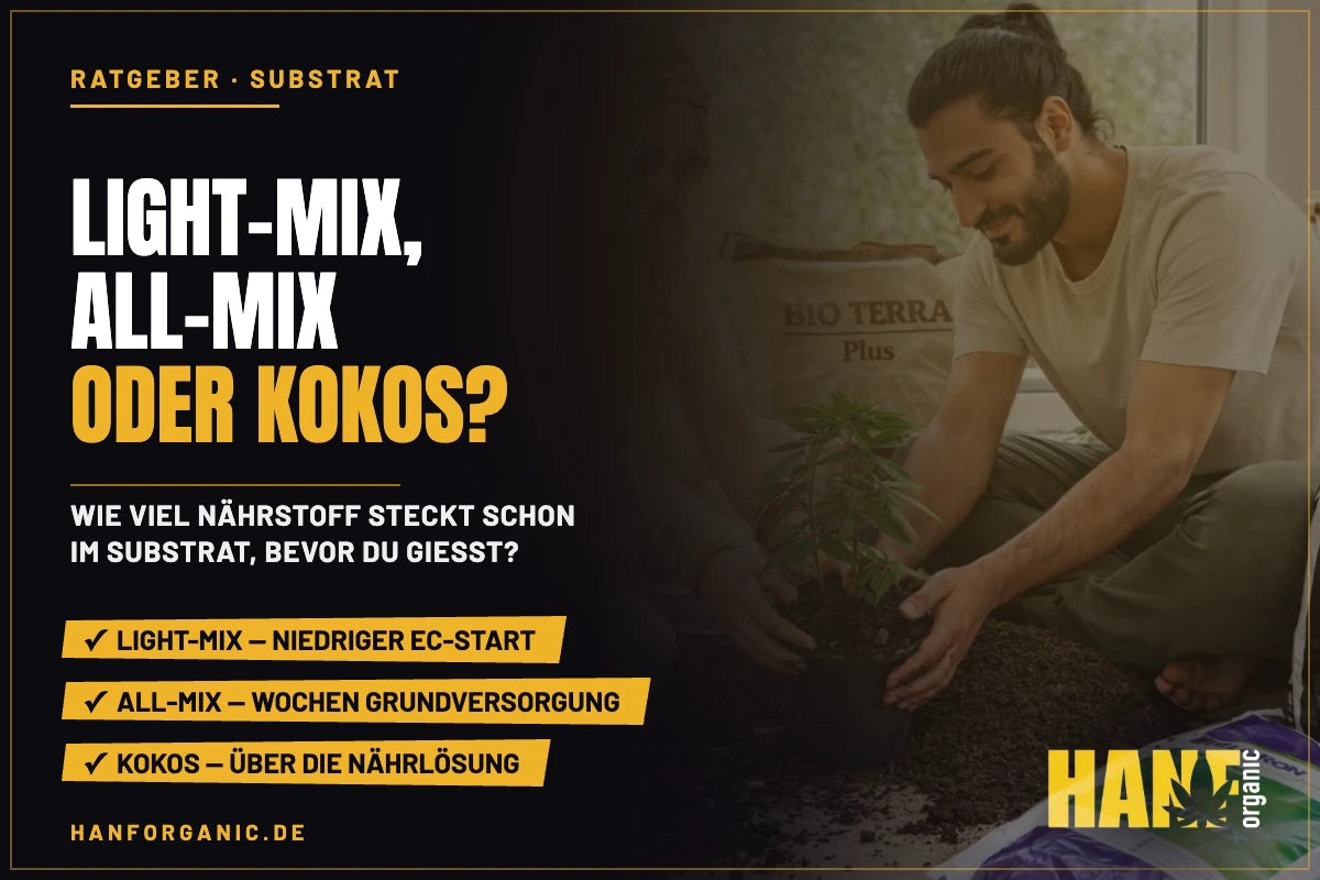 Erde für den Cannabis-Anbau: Light-Mix, All-Mix oder Kokos?
