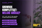 Growbox Komplettset: welche Größe passt zu wie vielen Pflanzen?
