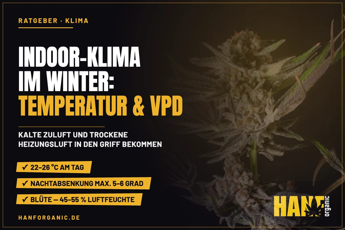 Indoor-Klima im Winter: Temperatur, Luftfeuchte und VPD