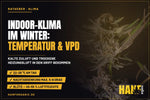 Indoor-Klima im Winter: Temperatur, Luftfeuchte und VPD