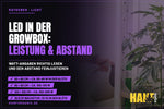 LED in der Growbox: Leistung, Abstand und Lichtstunden