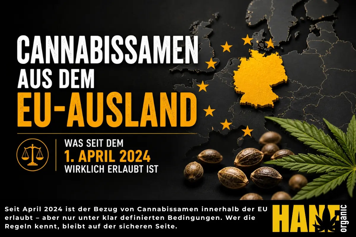 Cannabissamen aus dem EU-Ausland: Was deutsche Selbstanbauer wirklich wissen müssen