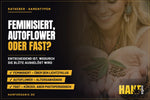 Feminisiert, Autoflower oder Fastflowering: welcher Samentyp passt zu deinem Grow?