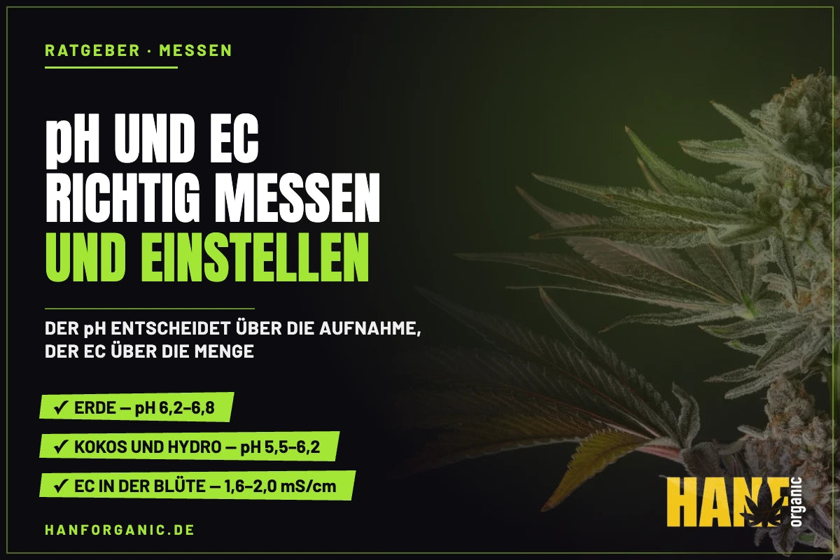 pH und EC richtig messen und einstellen