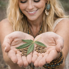 Hochwertige Hanfsamen aus ausgewählter Genetik bei Hanf Organic