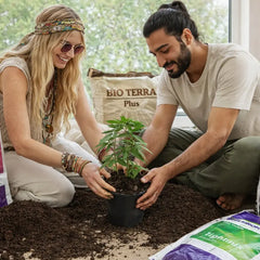 Collection image for: Erde – hochwertige Substrate für kontrollierten Pflanzenanbau | Hanf Organic