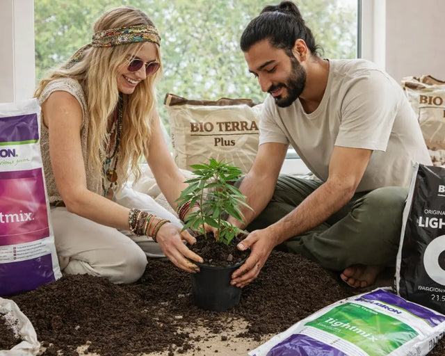 Erde – hochwertige Substrate für kontrollierten Pflanzenanbau | Hanf Organic