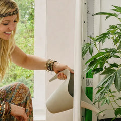 Growshop mit hochwertigem Zubehör für Indoor und Outdoor Grow