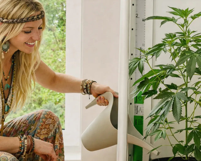 Growshop mit hochwertigem Zubehör für Indoor und Outdoor Grow