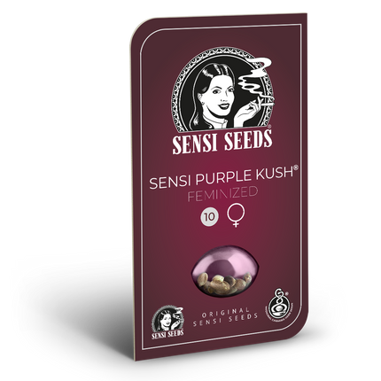 Sensi Purple Kush feminisiert von Sensi Seeds – Blüte