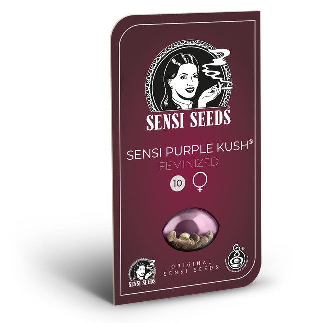 Sensi Purple Kush feminisiert von Sensi Seeds – Blüte
