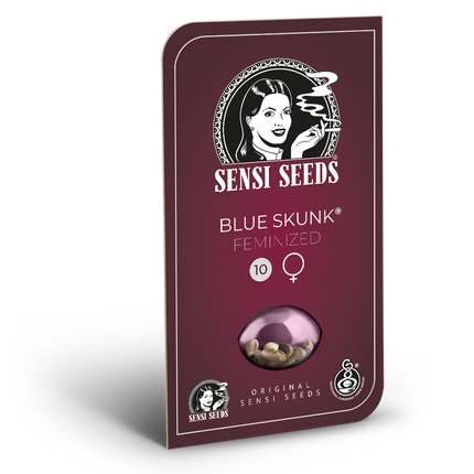 Blue Skunk feminisiert von Sensi Seeds – Blüte
