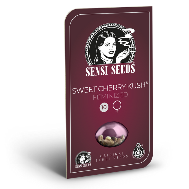 Sweet Cherry Kush feminisiert von Sensi Seeds – Blüte
