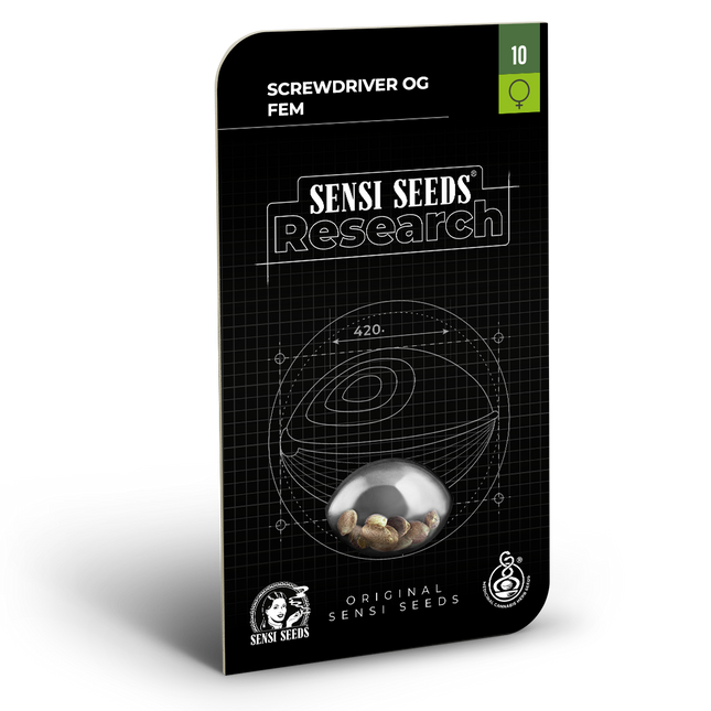 Screwdriver OG feminisiert von Sensi Seeds – Blüte