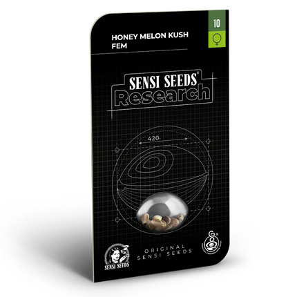 Honey Melon Kush feminisiert von Sensi Seeds – Blüte