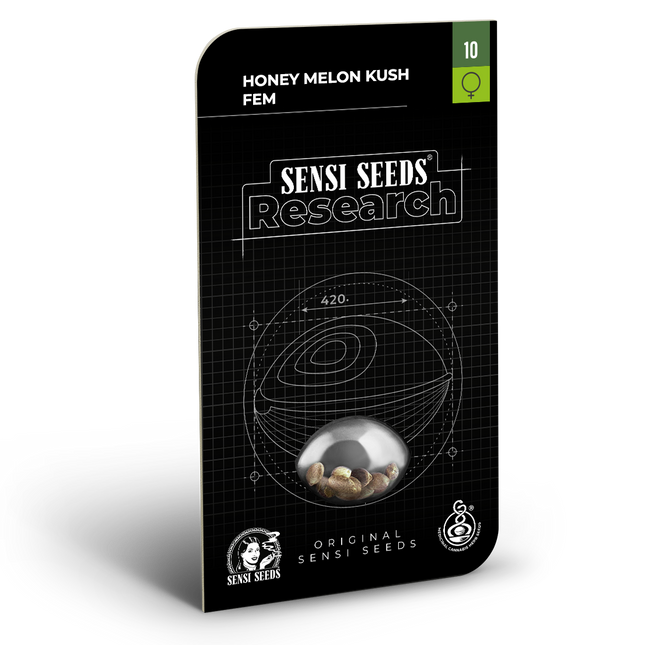 Honey Melon Kush feminisiert von Sensi Seeds – Blüte