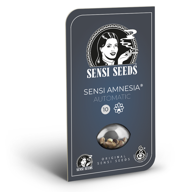 Sensi Amnesia Autoflower von Sensi Seeds – Blüte