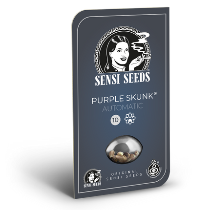 Purple Skunk Autoflower von Sensi Seeds – Blüte