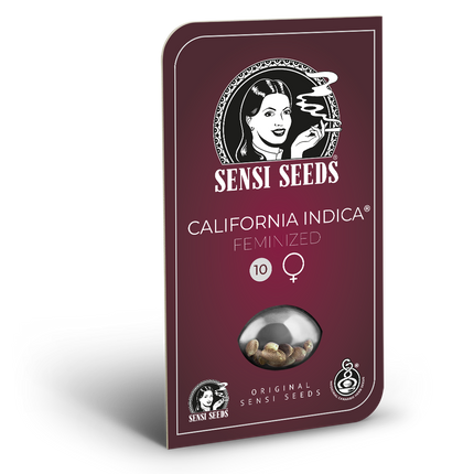 California Indica feminisiert von Sensi Seeds – Blüte