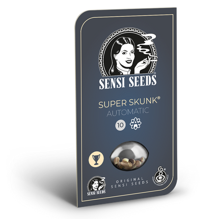 Super Skunk Autoflower von Sensi Seeds – Blüte