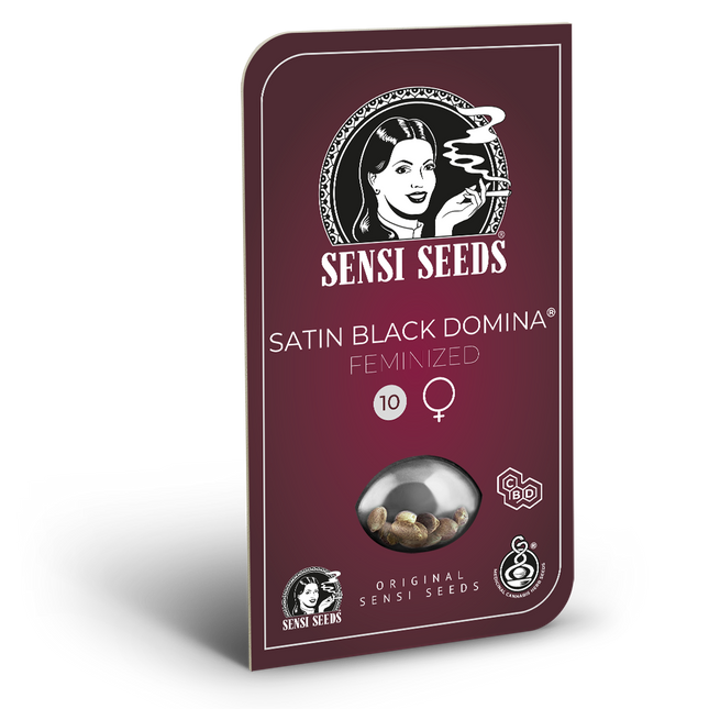 Satin Black Domina CBD (CBD-Sorte) von Sensi Seeds – Blüte