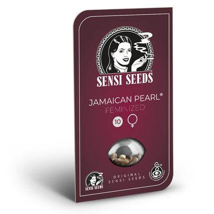Jamaican Pearl feminisiert von Sensi Seeds – Blüte
