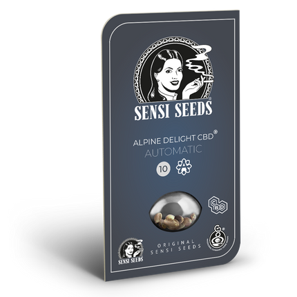 Alpine Delight CBD Autoflower von Sensi Seeds – Blüte