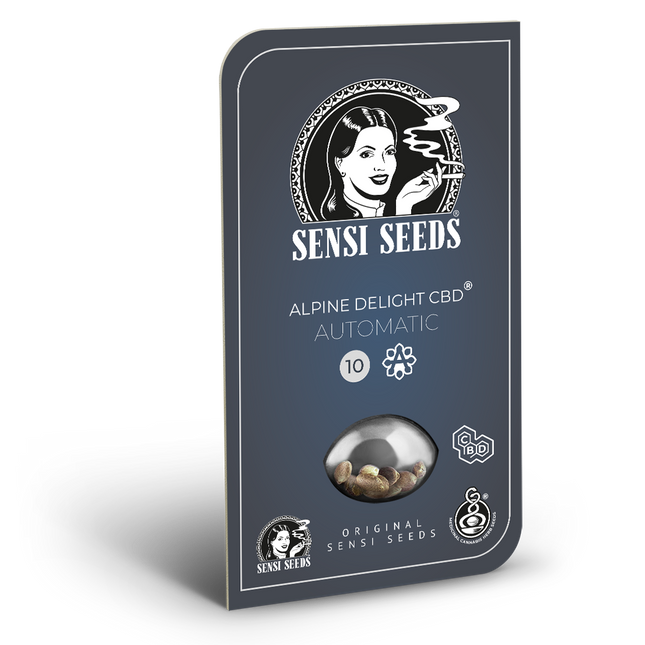 Alpine Delight CBD Autoflower von Sensi Seeds – Blüte