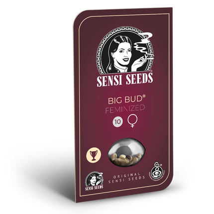 Big Bud feminisiert von Sensi Seeds – Blüte