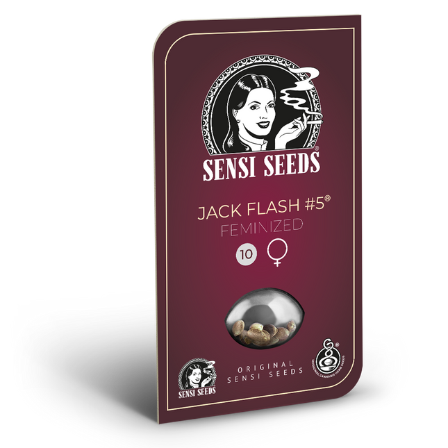 Jack Flash #5 feminisiert von Sensi Seeds – Blüte