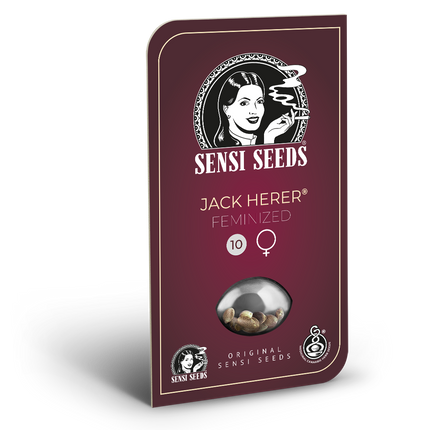 Jack Herer feminisiert von Sensi Seeds – Blüte