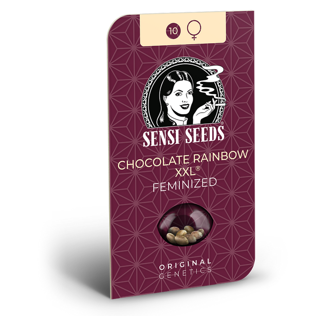 Chocolate Rainbow XXL feminisiert von Sensi Seeds – Blüte