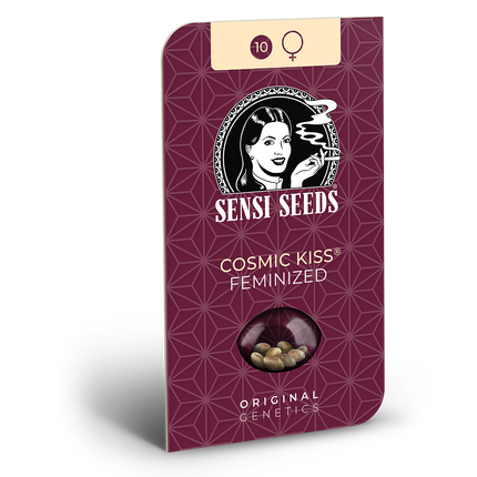 Cosmic Kiss feminisiert von Sensi Seeds – Blüte