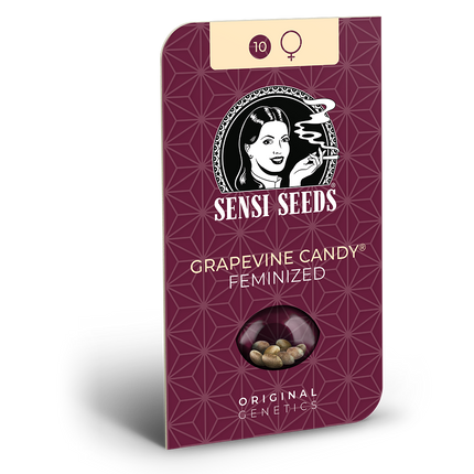 Grapevine Candy feminisiert von Sensi Seeds – Blüte