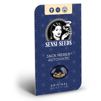 Jack Herer Autoflower von Sensi Seeds – Blüte