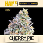 Advanced Seeds - Cherry Pie Auto