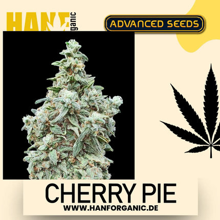 Advanced Seeds - Cherry Pie Fem