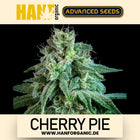 Advanced Seeds - Cherry Pie Fem