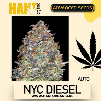 Advanced Seeds - NYC Diesel Auto