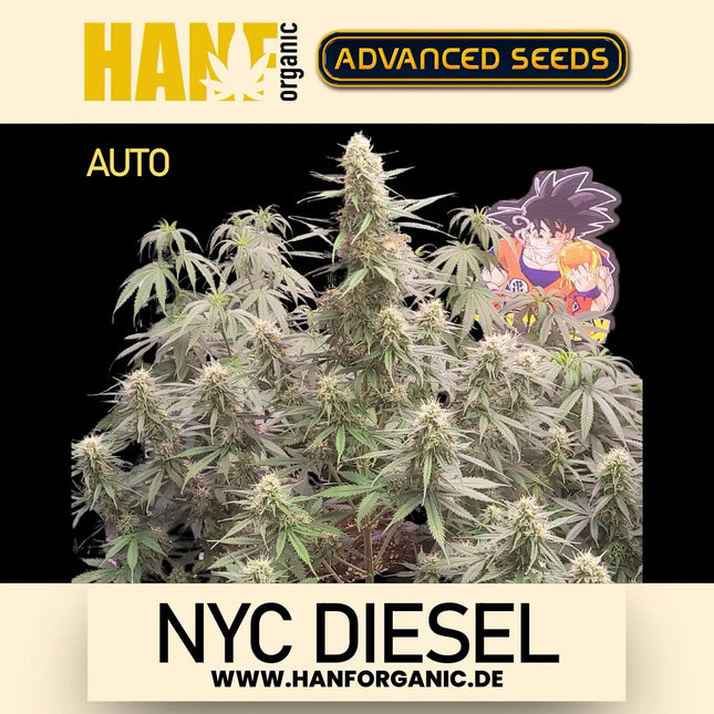 Advanced Seeds - NYC Diesel Auto