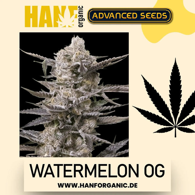 Advanced Seeds - Watermelon OG Fem