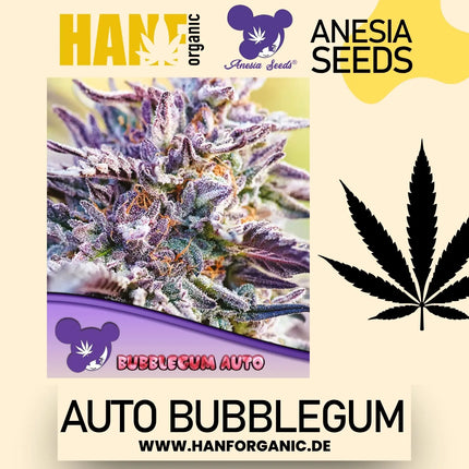 Anesia Seeds - Bubblegum (Auto)