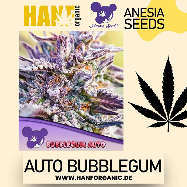 Anesia Seeds - Bubblegum (Auto)