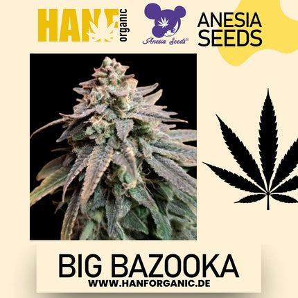 Anesia Seeds – Big Bazooka (Feminisiert)