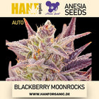 Anesia Seeds - Blackberry Moonrocks Auto