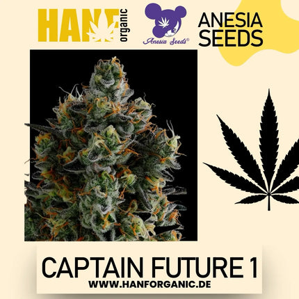 Anesia Seeds - Captain Future 1 Fem
