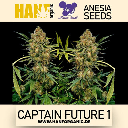 Anesia Seeds - Captain Future 1 Fem