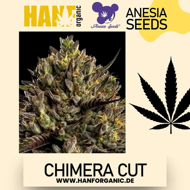Anesia Seeds - Chimera Cut Fem